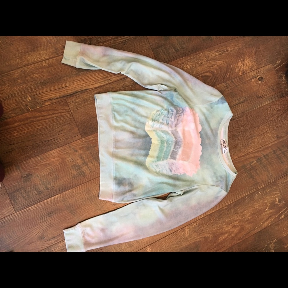 Wildfox Beach Sweatshirt “Let Them Eat Cake”
